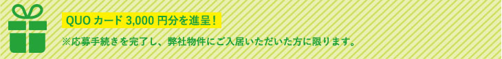 QUOカード3,000円分を進呈！　※応募手続きを完了し、応募要件をすべて満たした方に限ります。